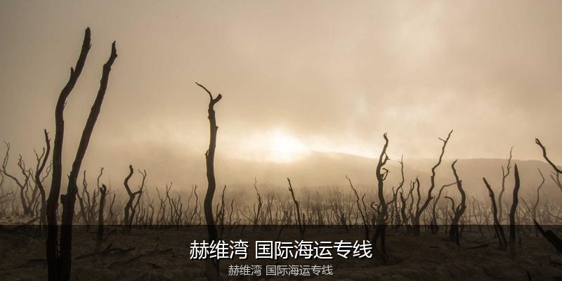 中国到澳洲海运专线服务优势与价格指南